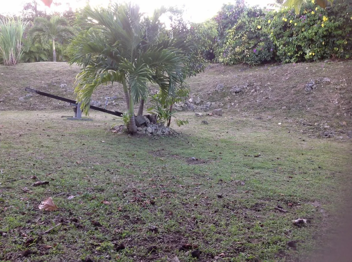 Location De Meubles Villa Morne-a-l'Eau 0*,